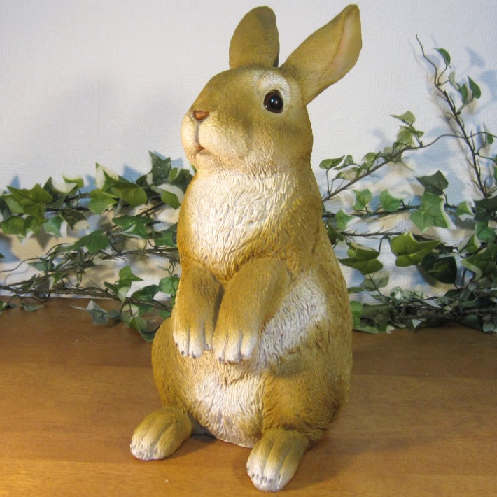 �ꥢ��ʤ���������ʪ��������ɡ���ӥåȡ��顼�������ס����������ե����奢���Хˡ������١�������ꡡ���֥����������ǥ˥󥰡��������Υ���ƥꥢ�ˤ����Υ����ʥ��ȤȤ��Ƥ��