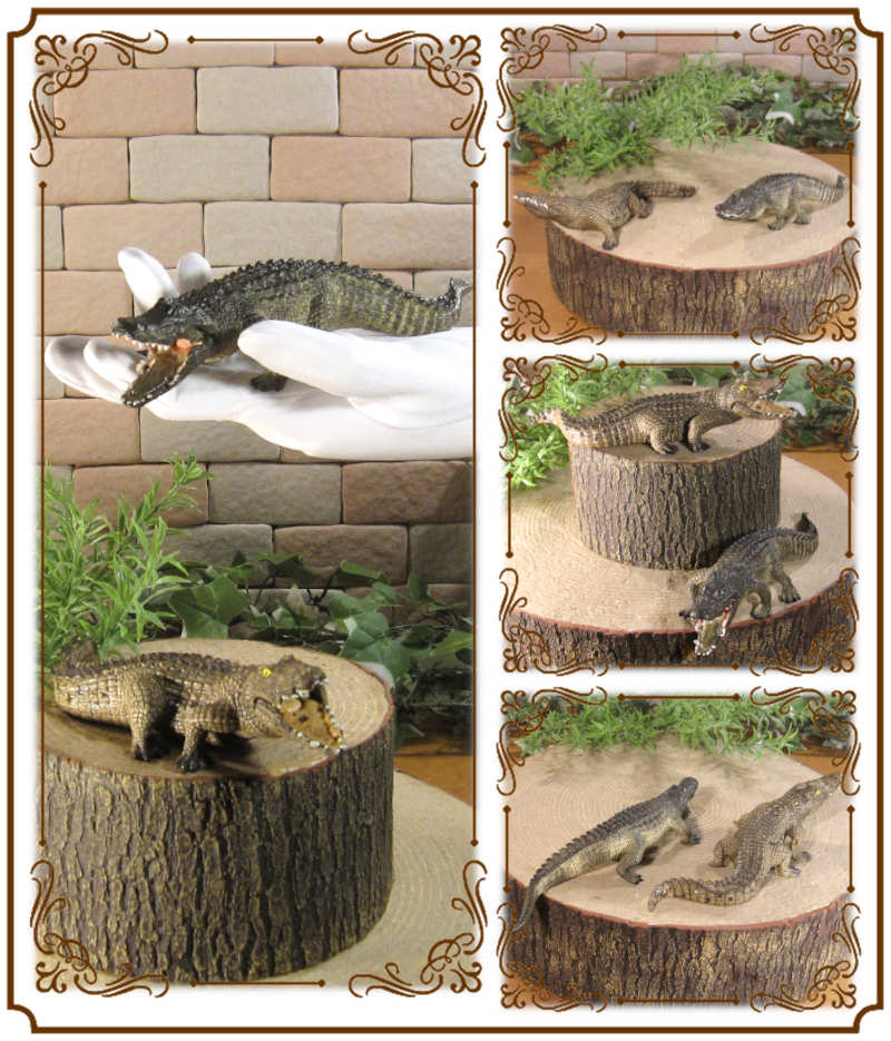 �ꥢ��ʡ���ˤ���ʪ�������������롡�������åȡ��ɡ��롡�ե����奢�������ǥ˥󥰡�����ࡡ�ߥ˥��奢������ƥꥢ