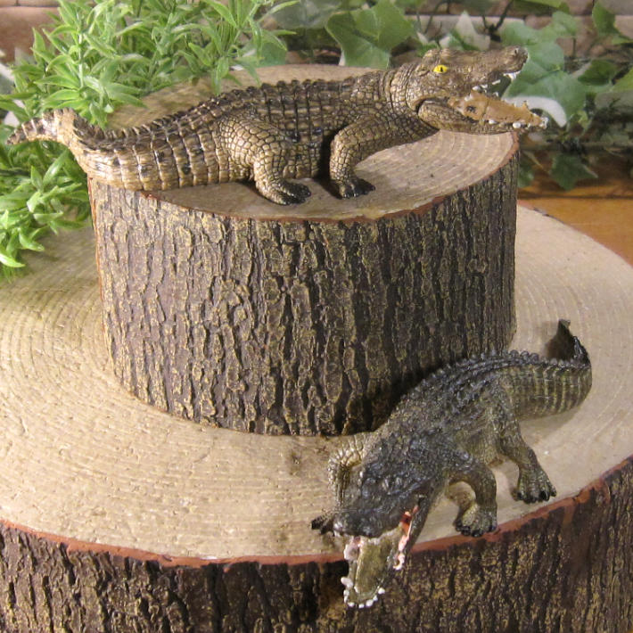 �ꥢ��ʡ���ˤ���ʪ�������������롡�������åȡ��ɡ��롡�ե����奢�������ǥ˥󥰡�����ࡡ�ߥ˥��奢������ƥꥢ