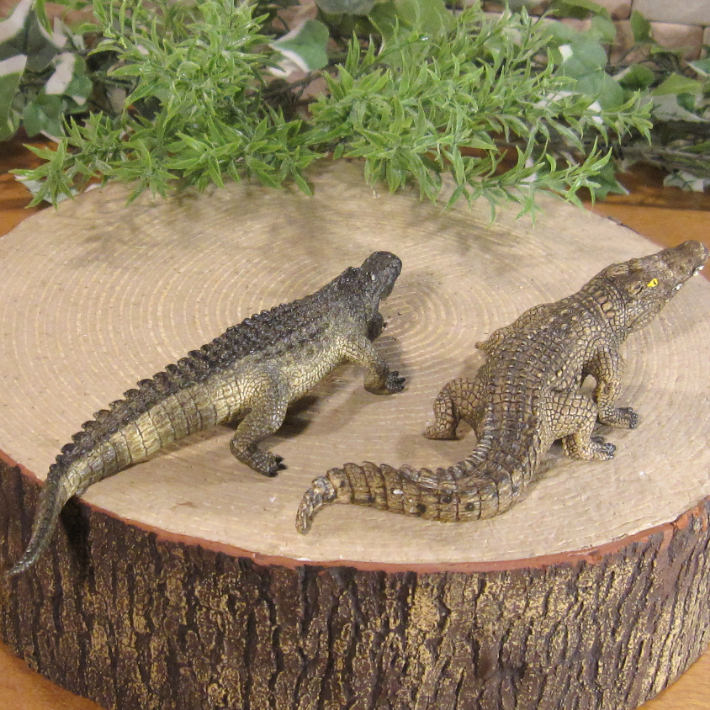 �ꥢ��ʡ���ˤ���ʪ�������������롡�������åȡ��ɡ��롡�ե����奢�������ǥ˥󥰡�����ࡡ�ߥ˥��奢������ƥꥢ