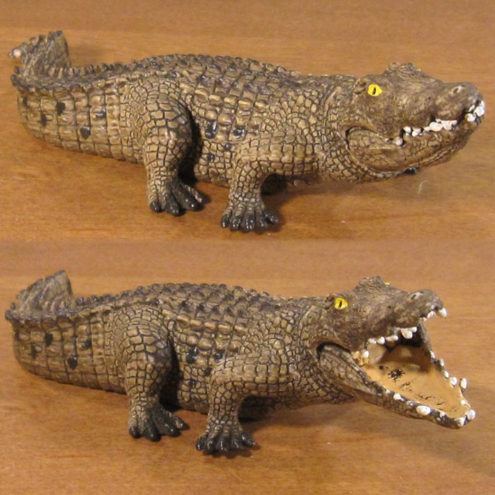 �ꥢ��ʡ���ˤ���ʪ�������������롡�������åȡ��ɡ��롡�ե����奢�������ǥ˥󥰡�����ࡡ�ߥ˥��奢������ƥꥢ