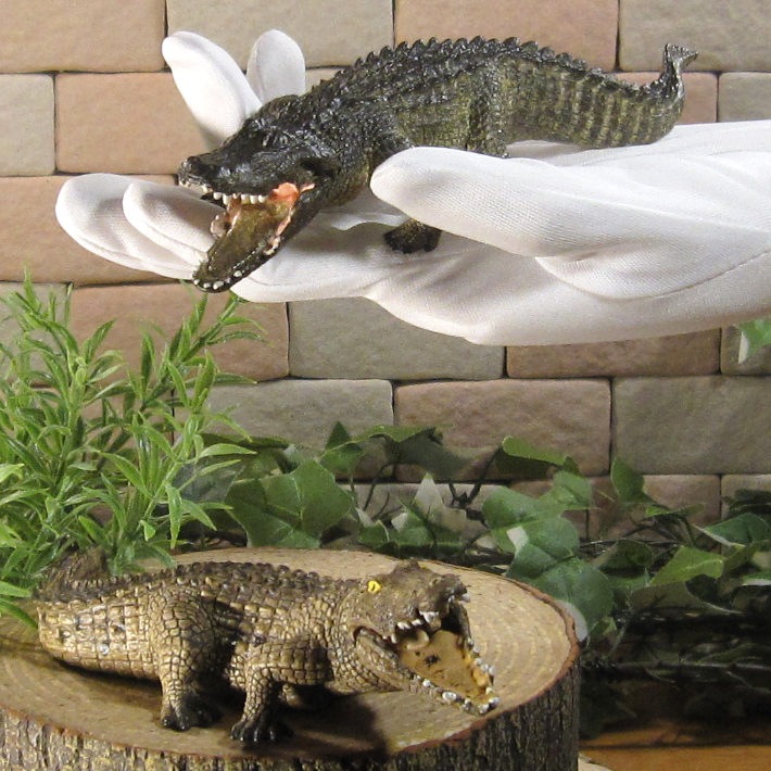 �ꥢ��ʡ���ˤ���ʪ�������������롡�������åȡ��ɡ��롡�ե����奢�������ǥ˥󥰡�����ࡡ�ߥ˥��奢������ƥꥢ