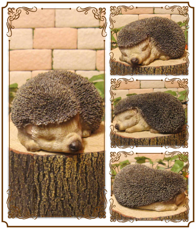 �ϥ�ͥ��ߤ���ʪ�����ȥ��Ȥͤ�ͤࡡ�إå��ۥå����ꥢ�롡�Ϥ�ͤ��ߡ����֥����������ǥ󡡥٥��������ȡ������ʥ���