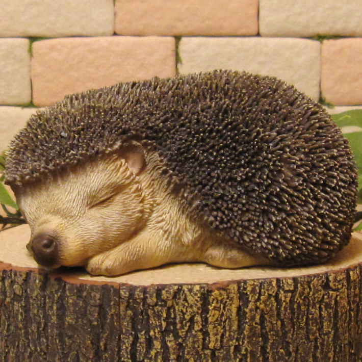 �ϥ�ͥ��ߤ���ʪ�����ȥ��Ȥͤ�ͤࡡ�إå��ۥå����ꥢ�롡�Ϥ�ͤ��ߡ����֥����������ǥ󡡥٥��������ȡ������ʥ���