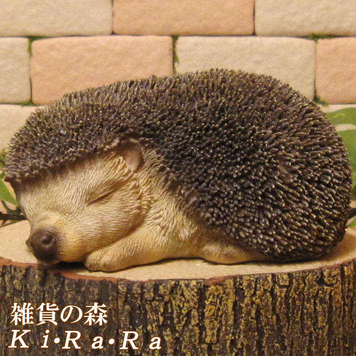 �ϥ�ͥ��ߤ���ʪ�����ȥ��Ȥͤ�ͤࡡ�إå��ۥå����ꥢ�롡�Ϥ�ͤ��ߡ����֥����������ǥ󡡥٥��������ȡ������ʥ���