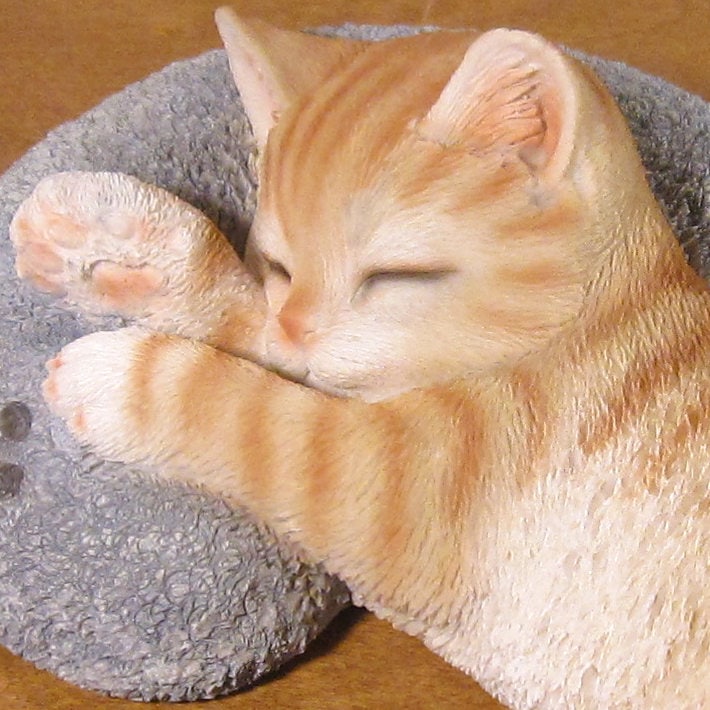 ǭ����ʪ �ꥢ�롡�ͤ����ͥ������꡼�ԥ󥰥٥ӡ�����åȥ��å�����դ�������ȥ顡ưʪ���֥����������ǥ󡡥����ʥ��ȡ�Ź�ޡ������󥿡������������֥���������ƥꥢ�������衡��