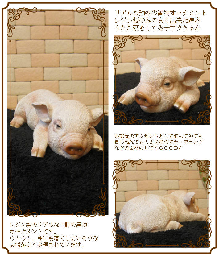 �Ҥ֤����ꥢ����ڤ���ʪ�������ȥ��ȡ��ͤ�ͤࡡ�֤��Υե��������������Υ���ƥꥢ�ˤ����Υ����ʥ��ȤȤ��Ƥ����