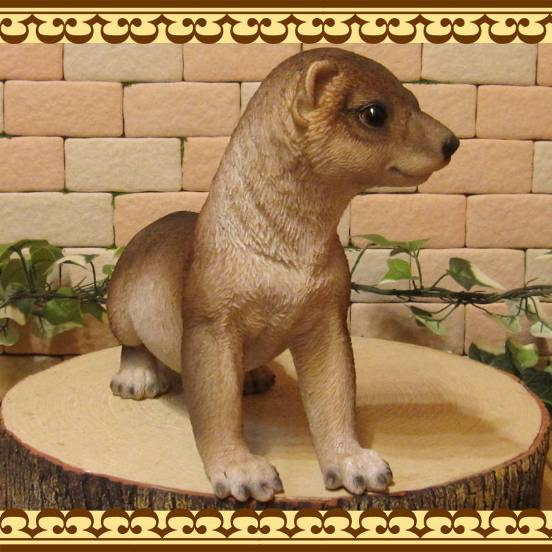 復ʪ臘ꥢ롡˥ޥ롡֥ǥ󡡥٥ȡʥ