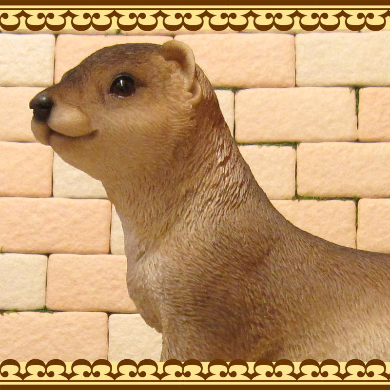 復ʪ臘ꥢ롡˥ޥ롡֥ǥ󡡥٥ȡʥ