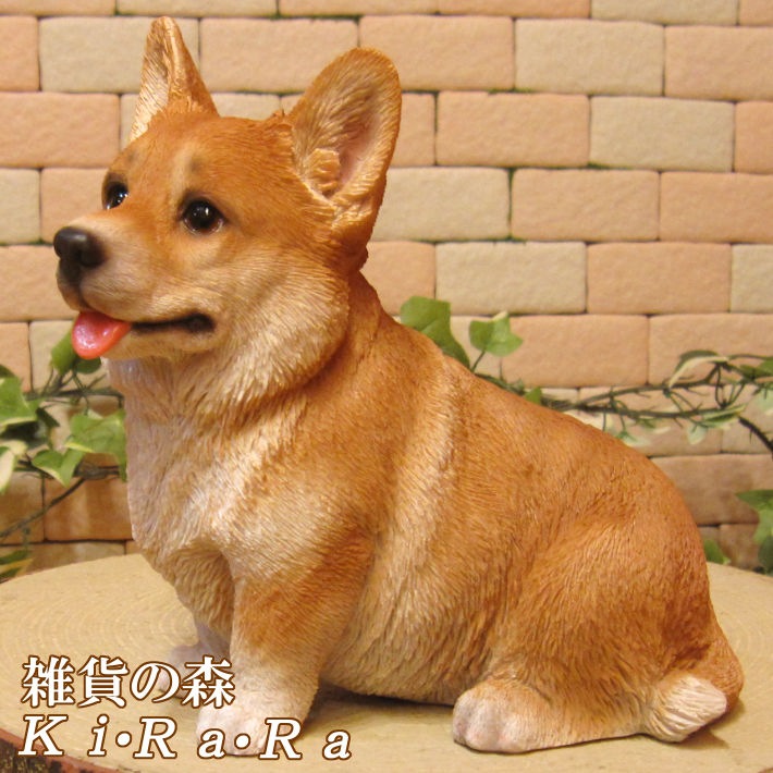 ʪ륷塡ꥢʸʪ¤ Ҥ̡եǥ󡡥֥ΥƥꥢˤΥʥȤȤƤ