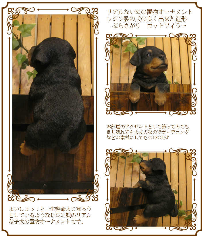 ���������Υ���ƥꥢ�ˤ����Υ����ʥ��ȤȤ��Ƥ�����ꥢ��ʸ�����ʪ���֤餵������åȥ磻�顼�����̤Υե�����