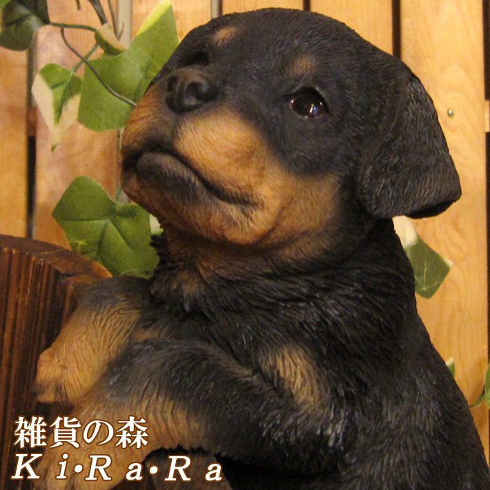 ���������Υ���ƥꥢ�ˤ����Υ����ʥ��ȤȤ��Ƥ�����ꥢ��ʸ�����ʪ���֤餵������åȥ磻�顼�����̤Υե�����