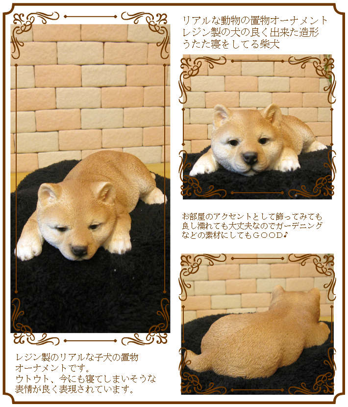 ƦơꥢʼƸʪȥȡͤͤࡡФ̤ΥեХΥƥꥢˤΥʥȤȤƤ