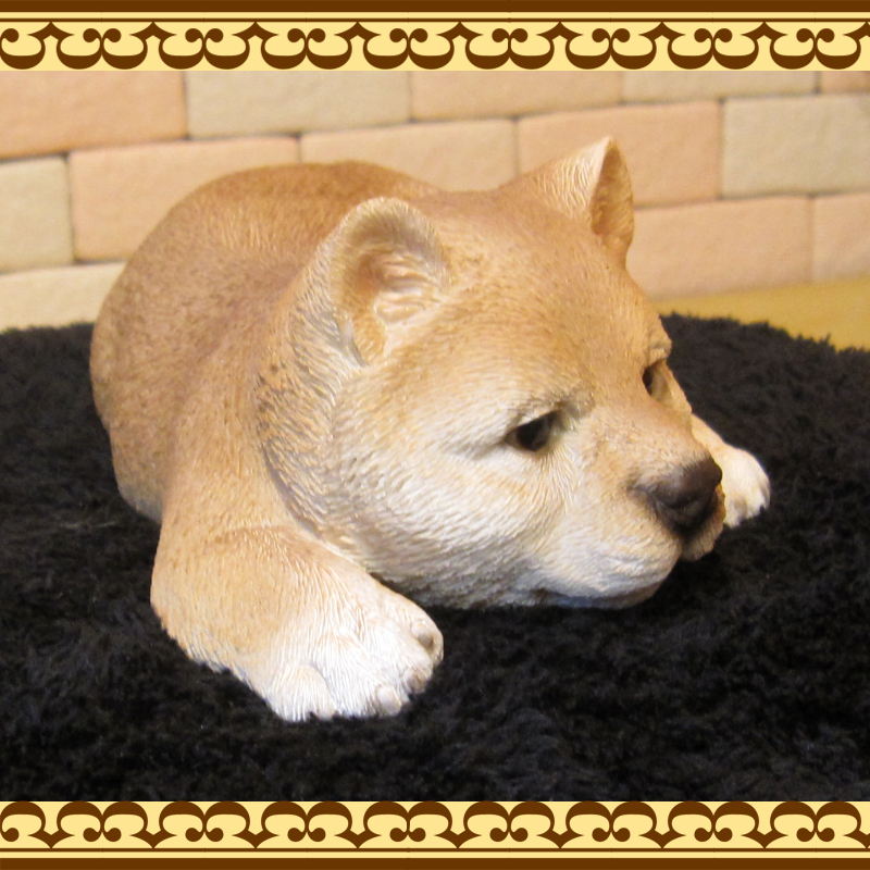 ƦơꥢʼƸʪȥȡͤͤࡡФ̤ΥեХΥƥꥢˤΥʥȤȤƤ