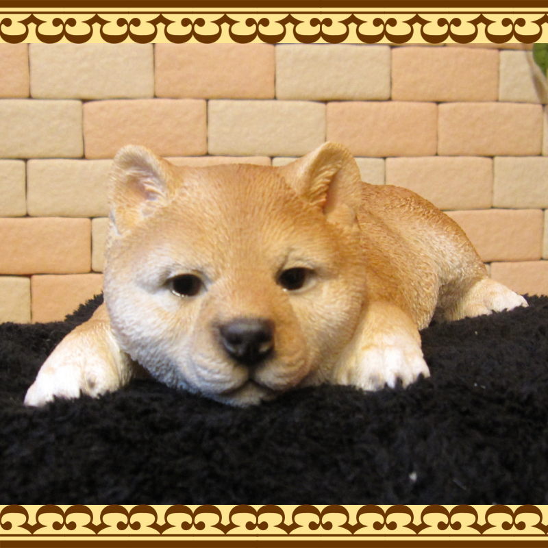 ƦơꥢʼƸʪȥȡͤͤࡡФ̤ΥեХΥƥꥢˤΥʥȤȤƤ