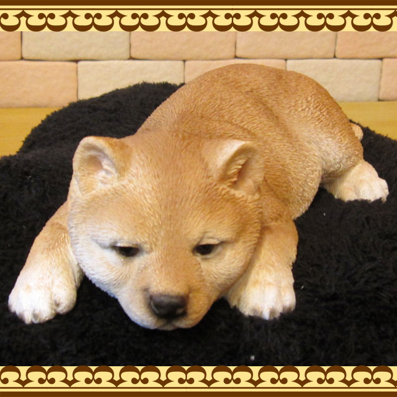 ƦơꥢʼƸʪȥȡͤͤࡡФ̤ΥեХΥƥꥢˤΥʥȤȤƤ