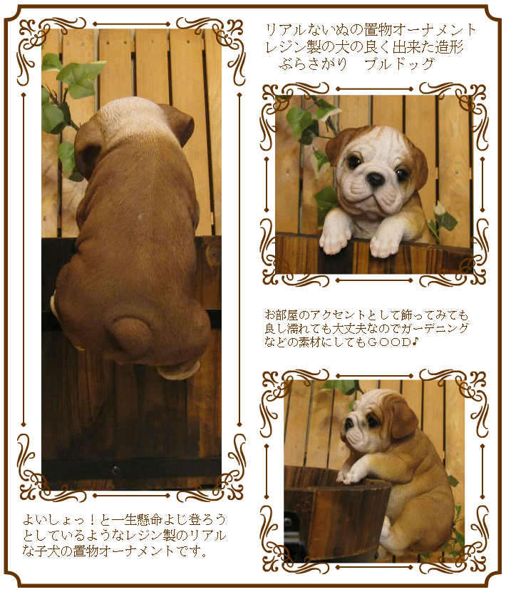 ���������Υ���ƥꥢ�ˤ����Υ����ʥ��ȤȤ��Ƥ�����ꥢ��ʸ�����ʪ���֤餵����֥�ɥå������̤Υե�����