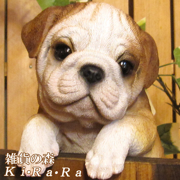 ���������Υ���ƥꥢ�ˤ����Υ����ʥ��ȤȤ��Ƥ�����ꥢ��ʸ�����ʪ���֤餵����֥�ɥå������̤Υե�����