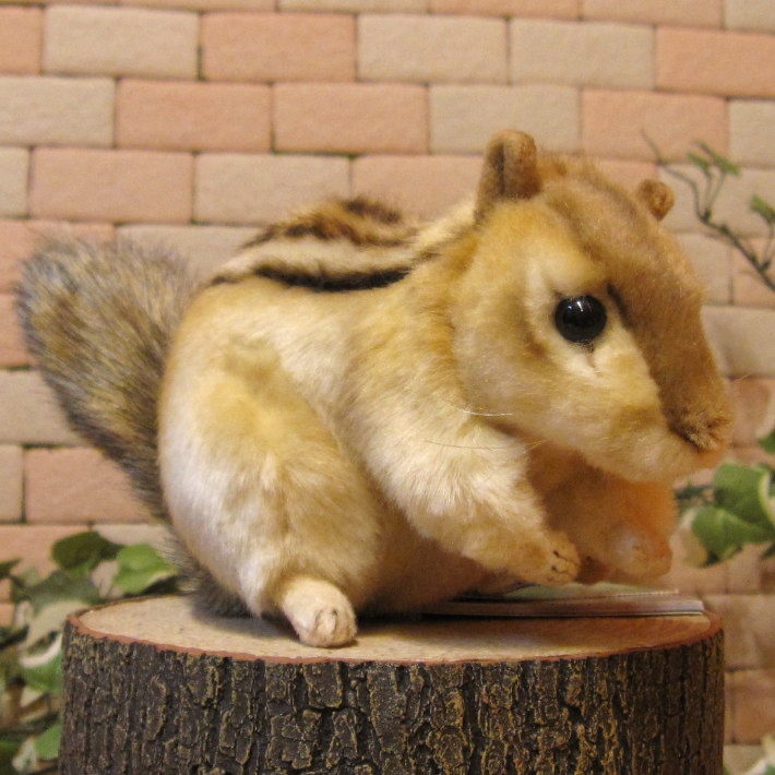 ���ޥꥹ���¥����ס��ꥹ����ʪ �ꥢ��� �ꤹ�Τ̤������ ���֥��� ���� ����ƥꥢ ��դ��