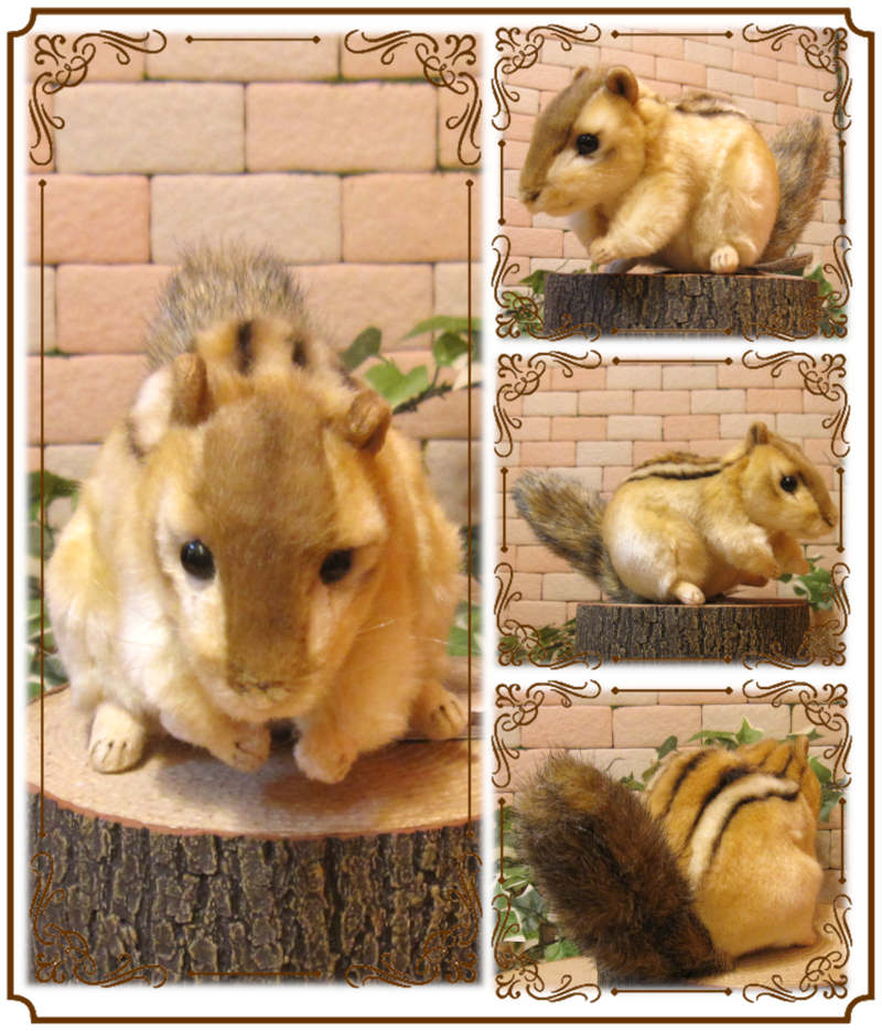 ���ޥꥹ���¥����ס��ꥹ����ʪ �ꥢ��� �ꤹ�Τ̤������ ���֥��� ���� ����ƥꥢ ��դ��