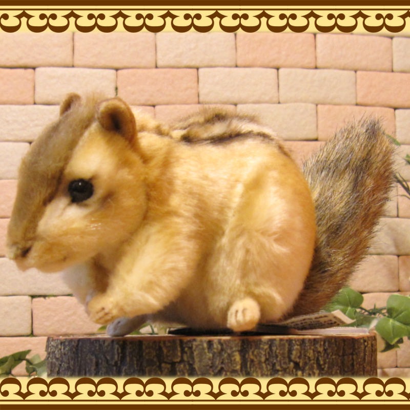 ���ޥꥹ���¥����ס��ꥹ����ʪ �ꥢ��� �ꤹ�Τ̤������ ���֥��� ���� ����ƥꥢ ��դ��