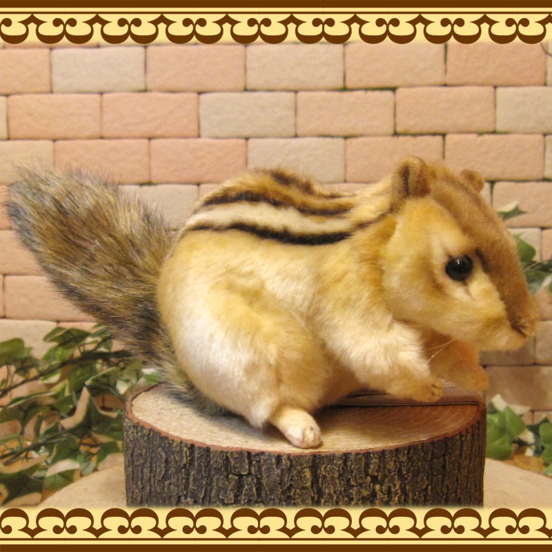 ���ޥꥹ���¥����ס��ꥹ����ʪ �ꥢ��� �ꤹ�Τ̤������ ���֥��� ���� ����ƥꥢ ��դ��