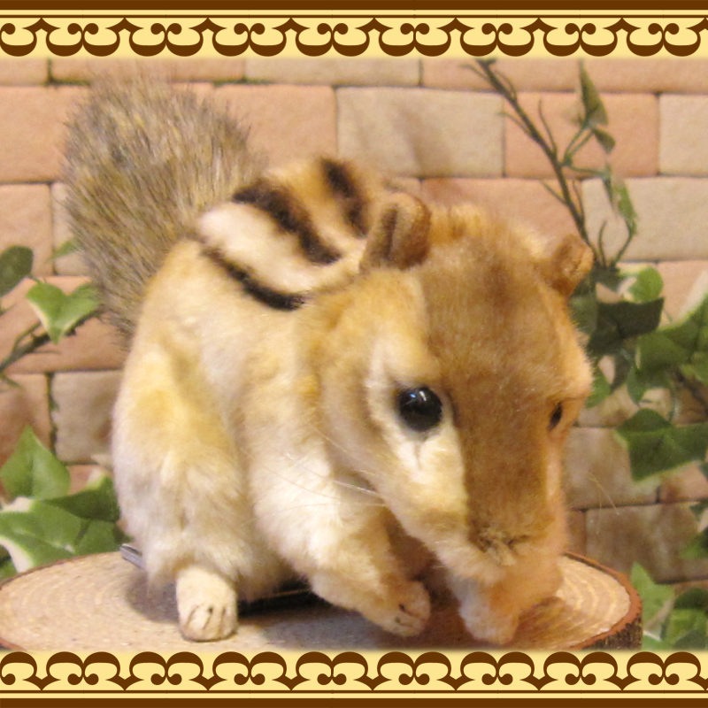 ���ޥꥹ���¥����ס��ꥹ����ʪ �ꥢ��� �ꤹ�Τ̤������ ���֥��� ���� ����ƥꥢ ��դ��