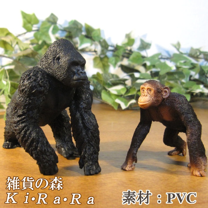 �ꥢ��ʡ�ưʪ����ʪ������顡����ѥ󥸡����������åȡ����롡��ɡ��롡�ե����奢�������ǥ˥󥰡��ߥ˥��奢������ƥꥢ