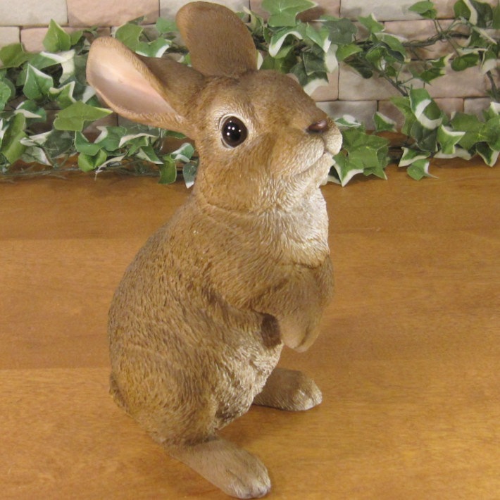 �ꥢ��ʤ���������ʪ�����ͤ����ӥåȡ����������Хˡ������֥�����Ź�������������ǥ˥󥰡�������������ƥꥢ�����������ʥ��ȤȤ��Ƥ��