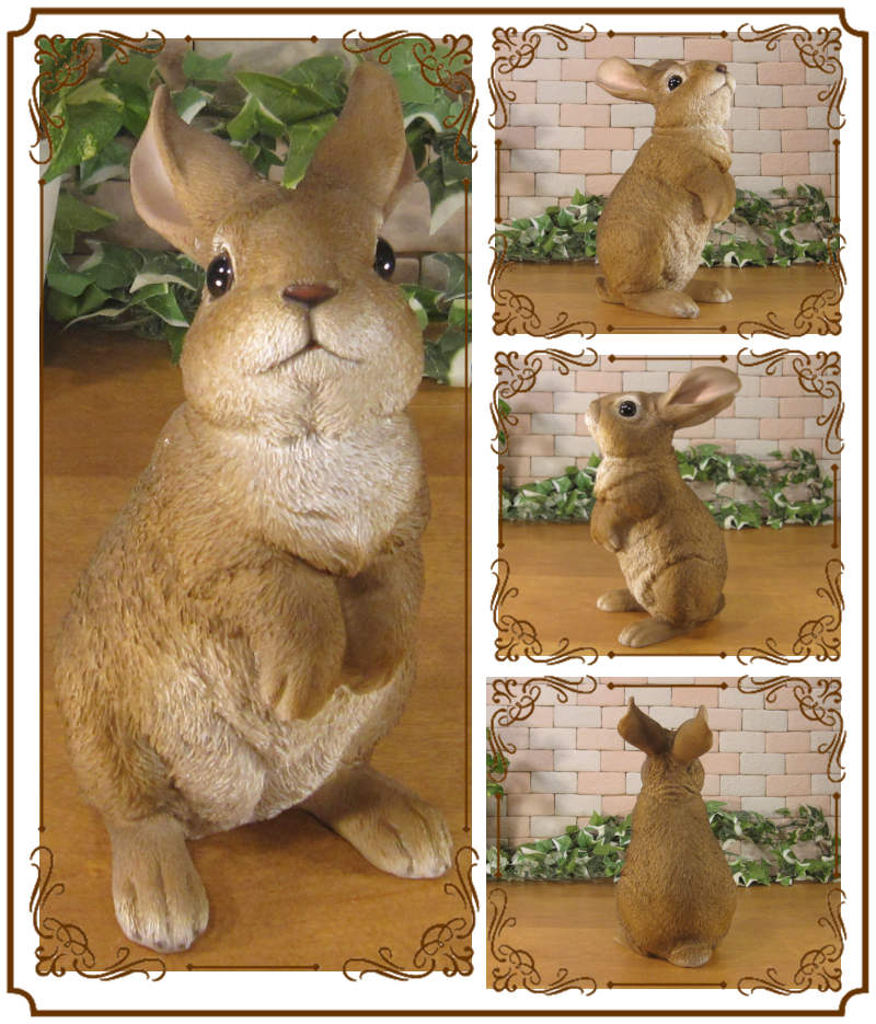 �ꥢ��ʤ���������ʪ�����ͤ����ӥåȡ����������Хˡ������֥�����Ź�������������ǥ˥󥰡�������������ƥꥢ�����������ʥ��ȤȤ��Ƥ��