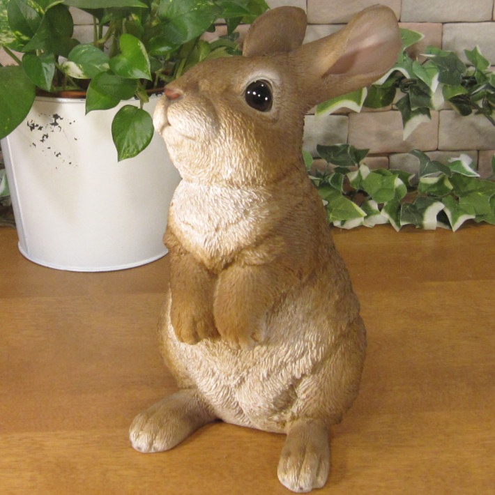 �ꥢ��ʤ���������ʪ�����ͤ����ӥåȡ����������Хˡ������֥�����Ź�������������ǥ˥󥰡�������������ƥꥢ�����������ʥ��ȤȤ��Ƥ��