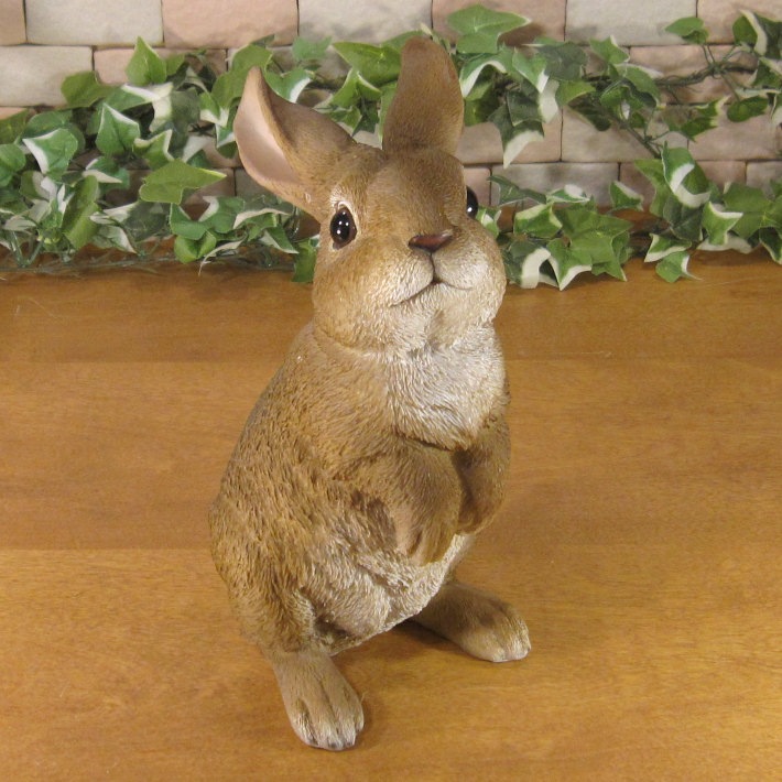 �ꥢ��ʤ���������ʪ�����ͤ����ӥåȡ����������Хˡ������֥�����Ź�������������ǥ˥󥰡�������������ƥꥢ�����������ʥ��ȤȤ��Ƥ��