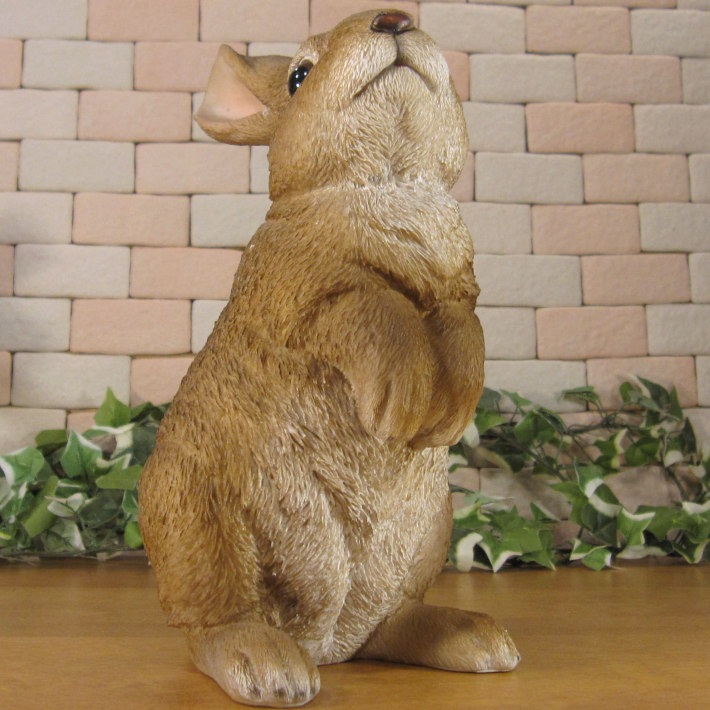 �ꥢ��ʤ���������ʪ�����ͤ����ӥåȡ����������Хˡ������֥�����Ź�������������ǥ˥󥰡�������������ƥꥢ�����������ʥ��ȤȤ��Ƥ��