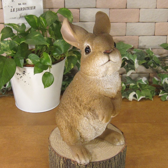 �ꥢ��ʤ���������ʪ�����ͤ����ӥåȡ����������Хˡ������֥�����Ź�������������ǥ˥󥰡�������������ƥꥢ�����������ʥ��ȤȤ��Ƥ��