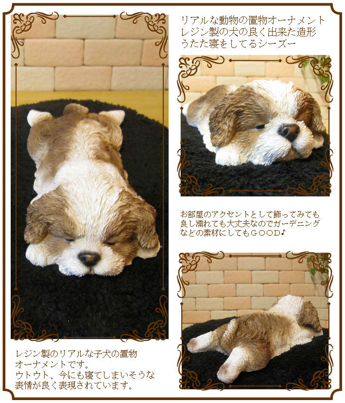 �����������ꥢ��ʸ�����ʪ�������ȥ��ȡ��ͤ�ͤࡡ���̤Υե��������ɥå����֥������������Υ���ƥꥢ�ˤ����Υ����ʥ��ȤȤ��Ƥ����