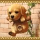 �ꥢ��ʸ�����ʪ���֥�󥳥ɥå����������ס���֥�ɡ����ȥ�С������̤Υե����������֥����������ǥ󡡥٥��������ȡ��������Υ���ƥꥢ�ˤ����Υ����ʥ��ȤȤ��Ƥ�