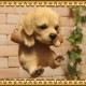 �ꥢ��ʸ�����ʪ���֥�󥳥ɥå����������ס���֥�ɡ����ȥ�С������̤Υե����������֥����������ǥ󡡥٥��������ȡ��������Υ���ƥꥢ�ˤ����Υ����ʥ��ȤȤ��Ƥ�