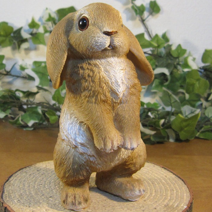 ꥢʤʪåץ䡼ӥåȡɥסʢȢ̵ˡ١ꡡե奢Хˡ֥ǥ˥󥰡ΥƥꥢˤΥʥȤȤƤ