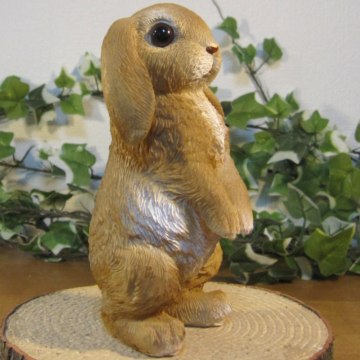 ꥢʤʪåץ䡼ӥåȡɥסʢȢ̵ˡ١ꡡե奢Хˡ֥ǥ˥󥰡ΥƥꥢˤΥʥȤȤƤ