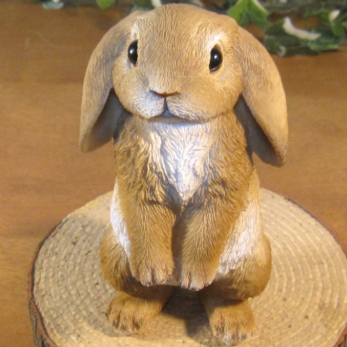 ꥢʤʪåץ䡼ӥåȡɥסʢȢ̵ˡ١ꡡե奢Хˡ֥ǥ˥󥰡ΥƥꥢˤΥʥȤȤƤ