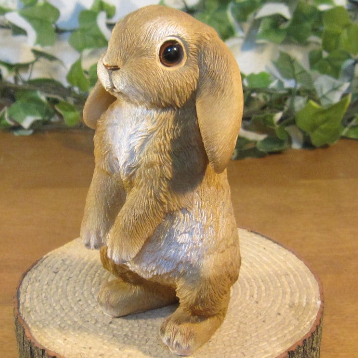 ꥢʤʪåץ䡼ӥåȡɥסʢȢ̵ˡ١ꡡե奢Хˡ֥ǥ˥󥰡ΥƥꥢˤΥʥȤȤƤ