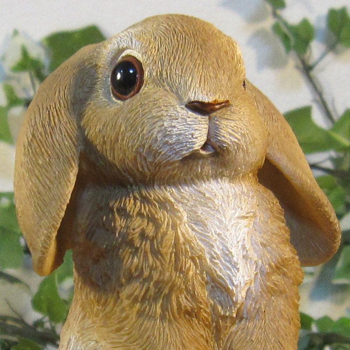 ꥢʤʪåץ䡼ӥåȡɥסʢȢ̵ˡ١ꡡե奢Хˡ֥ǥ˥󥰡ΥƥꥢˤΥʥȤȤƤ