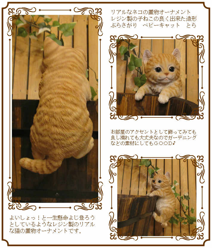 ���������Υ���ƥꥢ�ˤ����Υ����ʥ��ȤȤ��Ƥ�����ꥢ��ʻҥͥ�����ʪ���֤餵����٥ӡ�����å� �Ȥ顡�Ҥͤ��Υե�����