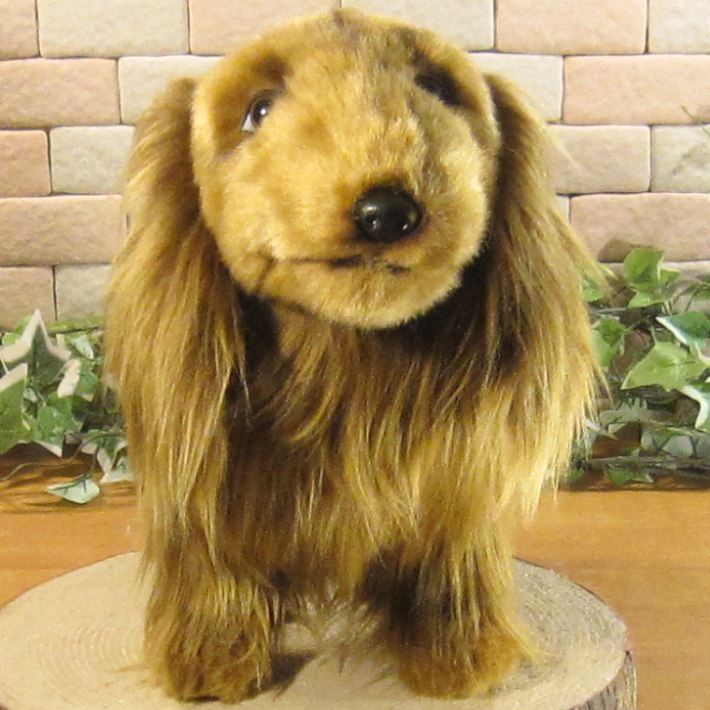 ���å����ե�ȡ��ӥå����������֥饦�󡡥ɥå����֥������礭���ƥꥢ��ʸ��Τ̤�����ߡ����̤���ʪ�����̤Υե����奢������ƥꥢ