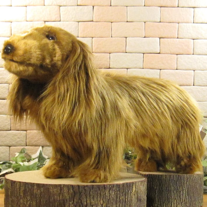 ���å����ե�ȡ��ӥå����������֥饦�󡡥ɥå����֥������礭���ƥꥢ��ʸ��Τ̤�����ߡ����̤���ʪ�����̤Υե����奢������ƥꥢ