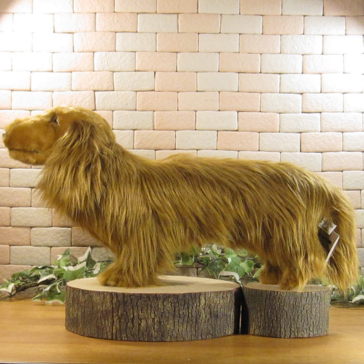 ���å����ե�ȡ��ӥå����������֥饦�󡡥ɥå����֥������礭���ƥꥢ��ʸ��Τ̤�����ߡ����̤���ʪ�����̤Υե����奢������ƥꥢ