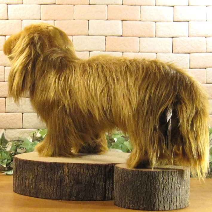 ���å����ե�ȡ��ӥå����������֥饦�󡡥ɥå����֥������礭���ƥꥢ��ʸ��Τ̤�����ߡ����̤���ʪ�����̤Υե����奢������ƥꥢ