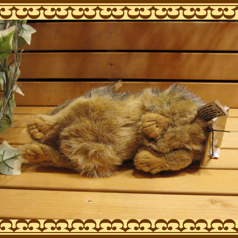 ��������������B�����ס��ꥢ��ʤ������Τ̤�����ߡ�