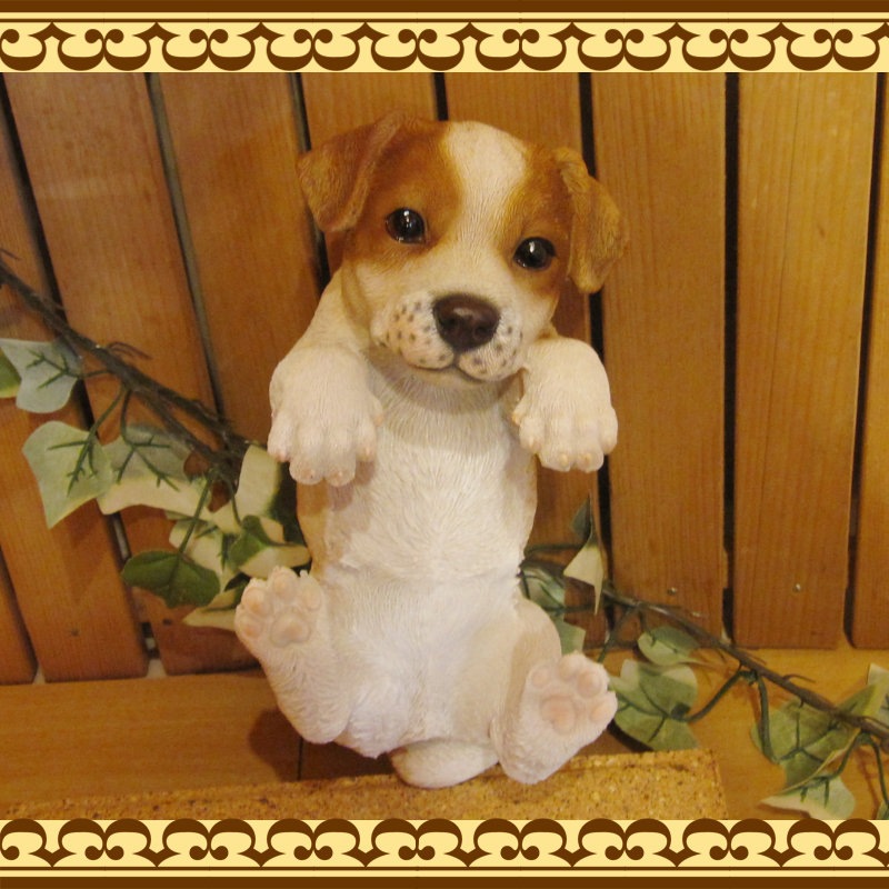 ���������Υ���ƥꥢ�ˤ����Υ����ʥ��ȤȤ��Ƥ�����ꥢ��ʸ�����ʪ���֤餵���ꥸ��å���å���ƥꥢ�����̤Υե�����