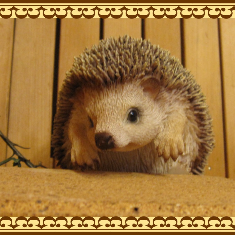 ϥͥߤʪ֤餵ꡡإåۥåꥢ롡Ϥͤߡ֥ǥ󡡥٥ȡʥ